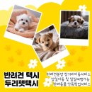 행복펫택시 네이버블로그