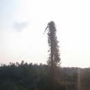 현대자동차 앞 이미지