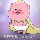 밀키트상점대전 네이버블로그