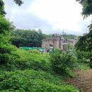 안산김씨 사재감정공파 묘역 이미지