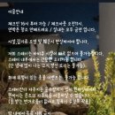스테이잔다 이미지