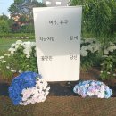 유구색동수국협동조합
