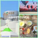 도토리김밥나라 | 하동야생차문화축제 2편 (축제먹거리/전시부스/무료사진인화/야생차박물관)