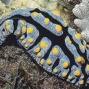 도매스토리 이미지