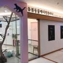 동물병원 돌봄 이미지