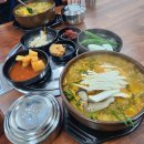 한림흑염소 이미지