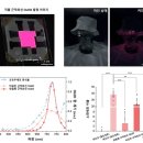 NATURE(네이처)PC 이미지