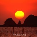 박해목장 이미지