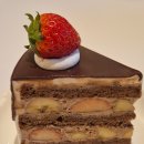 중앙동-22 | 안산 중앙동 카페 쿠오레에스프레소 중앙역 케이크