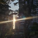 안양천 산책후 들린 구로역카페 분위기 좋았던 스틸하우스 후기