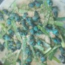 웰빙제일추어탕다슬기탕 이미지