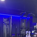 머슬핏피트니스 이미지