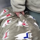 하군이네 동물병원 이미지