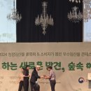 편백림 이미지
