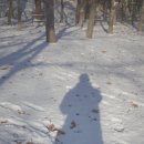 용허리근린공원 | [스냅] 강남역 눈 내린 용허리 근린공원 ( 소니 A7m2 + 소니 자이스 35mm F2.8 )