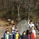 세영 Daum카페