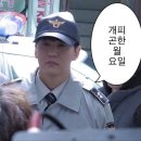 털복숭이친구들 이미지