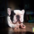 이스토리 이미지