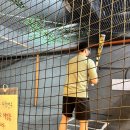 빅게임장 이미지