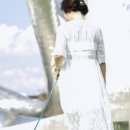 HMC펫케어 이미지