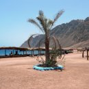 사우스 오아시스 이미지