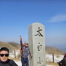 사천수양산악회 2월 정기산행 눈꽃 축제 평창 태백산 탐방 이미지