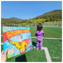 축구장 본부석 이미지