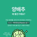 그린 케어 이미지