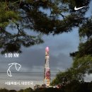 [삼전/잠실] SOW 쏘우 러닝 편집샵, 호카 클리프톤10 구매 후기