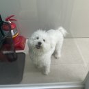 그루밍031 이미지