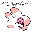 강동-천호-4242 이미지
