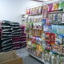 이레네 강아지 이미지