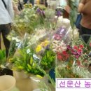 부여꽃직매장