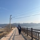 카우스톨 이미지