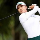 블루베이 이미지