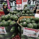 롯 데 마트, &#39;헬 로 썸 머 페스티벌&#39;. 수박 한 통 9천 원 대 이미지