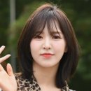 헤어담 이미지