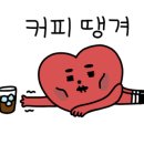 데일리디저트(daily dessert) 이미지