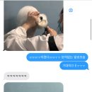 멜로쏘 이미지