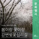고복2리마을회관 | 비가 와도 좋아! 2025 강변벚꽃십리길 축제 - 세종시 금남면 부용2리 벚꽃마을(김기섭 기자)