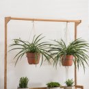 우리 집 작은 정원(홈 가드닝)만들기 | 원목 화분 선반, 우리 집 베란다를 싱그러운 정원으로! (친절한마이쮸 60cm)