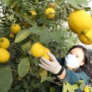 해나라1호 이미지