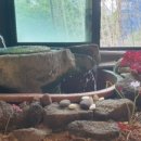 애니골길 이미지