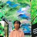 고래약국 | 인스파이어 쇼 미디어 오로라 고래보고 주차장정보위치 부대시설 총정리