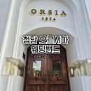 [웨딩밴드 구매] 오르시아 상담 및 구매 후기(+혜택) 💍