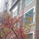 삼단지농장 이미지