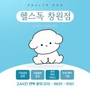 대한리트리버 | 부산골든리트리버분양 헬스독 창원점에서 만난 내 생애 최고의 천사 리얼 후기