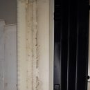 이솜이비인후과의원 이미지