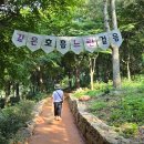 황토길 티스토리