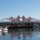 동해 물회 횟집 이미지